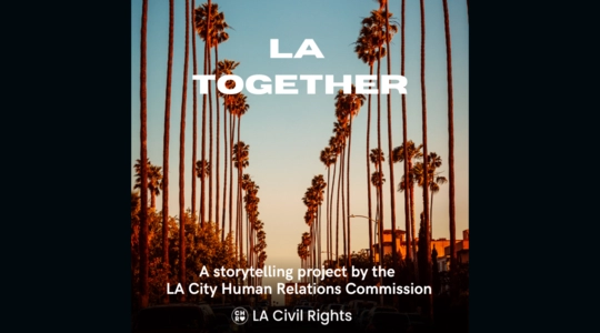 A palm-tree lined street at sunset is shown. Text over photo reads "LA TOGETHER, a storytelling project by the Human Relations Commission. LA Civil Rights."