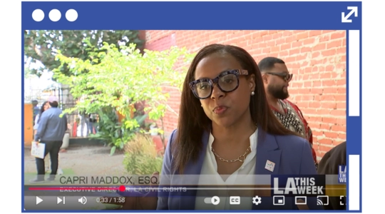 Capri Maddox, Executive Director of LA Civil Rights, speaks in an interview on LA This Week.