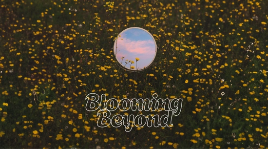 Photo of the Blooming Beyond Resource Guide front cover