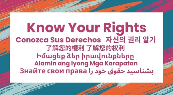 Know Your Rights Graphic